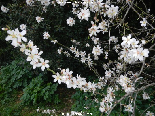 Now to happier times ! ........