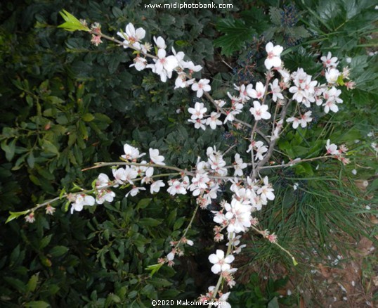 Now to happier times ! ........