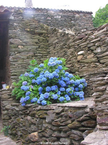 The tiny Village of "Combes", in the mountains of the "Haut Languedoc Regional Park"