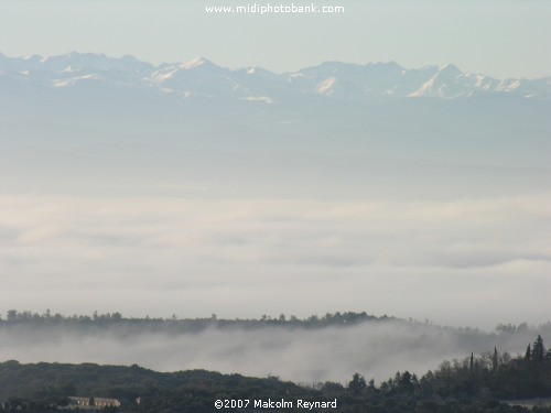 The Pyrenées from the Montagne Noire