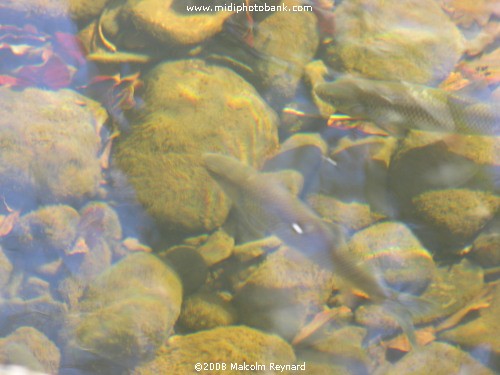 Montagne Noire - Canal du Midi