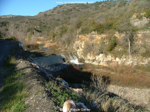 "A Walk on the Wild Side" - in the Corbières