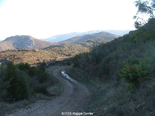 "A Walk on the Wild Side" - in the Corbières