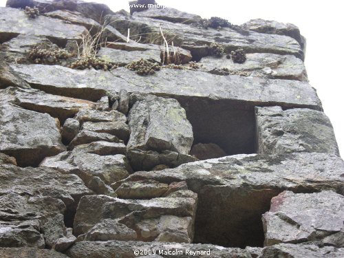 Montagne Noire Mystery Tower