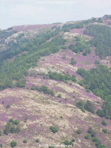 A day out in the "Haut Languedoc Regional Park