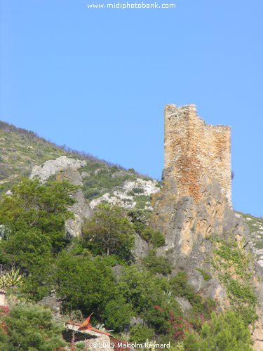 Haut Languedoc Regional Park