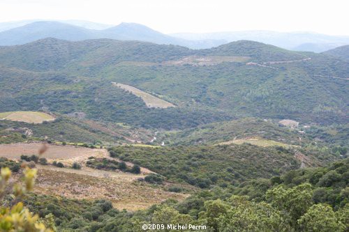Walking in the Corbières