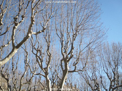 Béziers Mid-Winter Sunshine