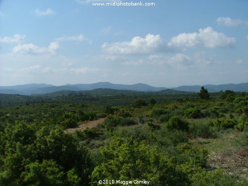 "La Fête des Moutons" at Albas in the Corbières