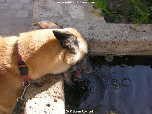 HERAULT - Minervois "Circulades Village"