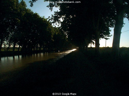 Early summer morning