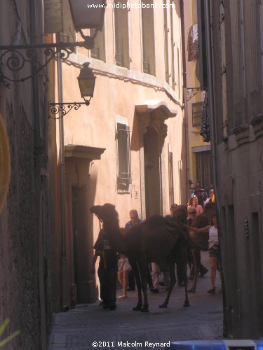 Féte de Saint Aphrodise - Béziers
