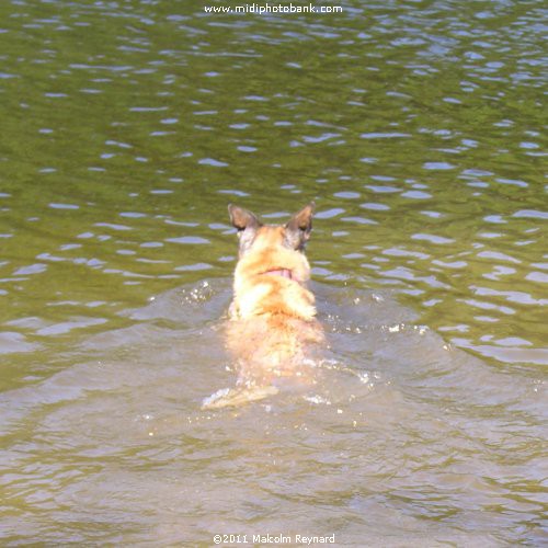 Montagne Noir - Lac de St Denis