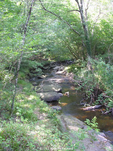 Montagne Noir - Lac de St Denis