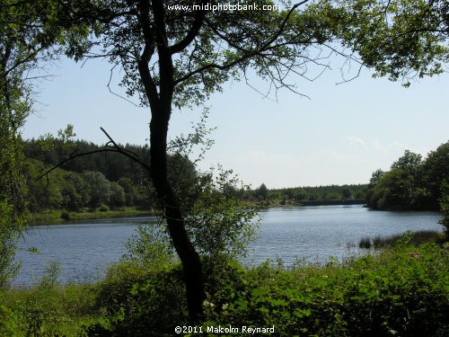 Montagne Noir - Lac de St Denis