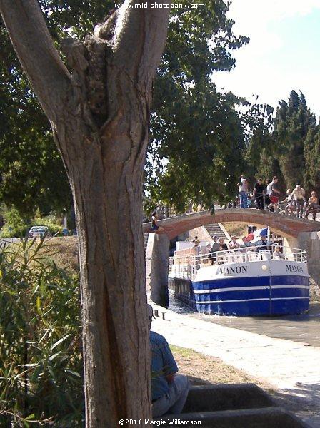 Day trips on the Canal du Midi