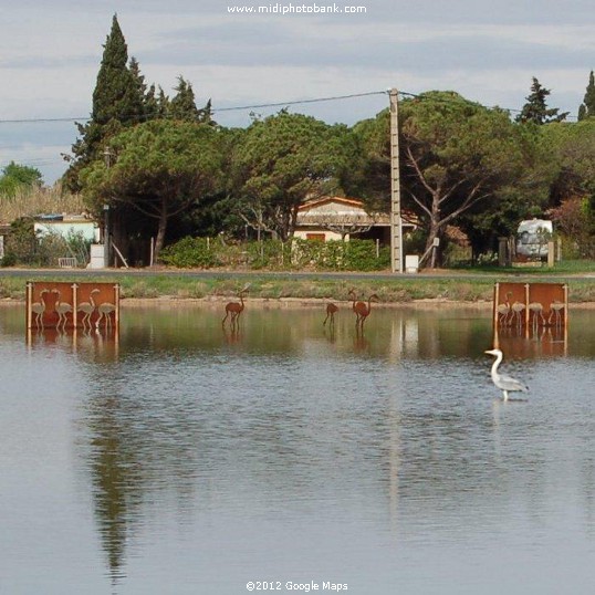 Midi Canal - Les Onglous