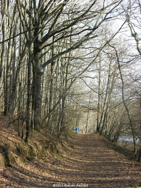 The "Basin de Saint-Denis" in the Montagne Noir