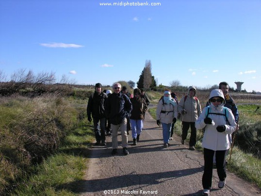 Chemin de Compostela - Pinet à St Thibéry sur Lo Camin Romieu