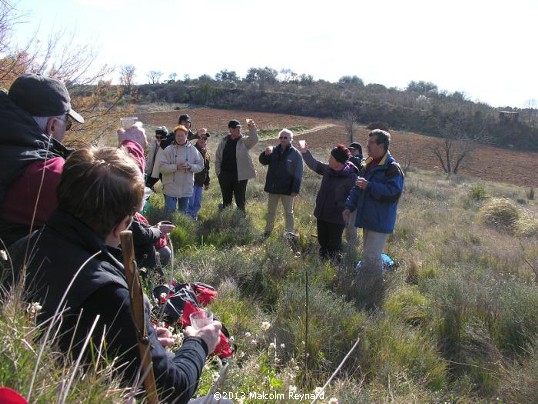 Chemin de Compostela - Pinet à St Thibéry sur Lo Camin Romieu