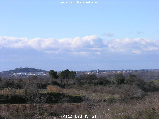 Chemin de Compostela - Pinet à St Thibéry sur Lo Camin Romieu